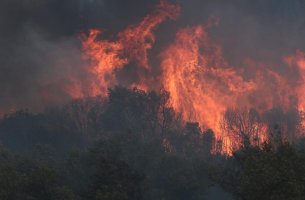 IOBE: Πώς βλέπουν οι πολίτες την πράσινη μετάβαση;