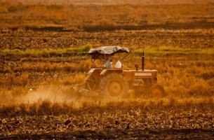 Βιολογική γεωργία: Κενά και ασυνέπειες στη στρατηγική της ΕΕ διαπιστώνει το ΕΕΣ