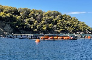 Υδατοκαλλιέργειες: Η Ελλάδα στην τελευταία θέση στην Ευρώπη σε περιβαλλοντικές ρυθμίσεις