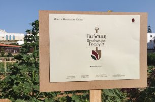 Metaxa Hospitality Group:  Σε στέρεες βάσεις η Στρατηγική Βιώσιμης Ανάπτυξης με ορίζοντα το 2030