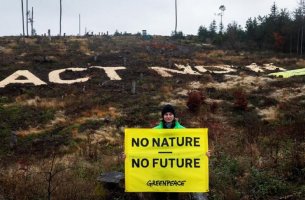 Greenpeace: Απογοητευτικά τα αποτελέσματα της COP29 στο Μπακού	