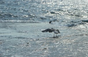 COP29: Η Μεσόγειος θερμαίνεται ταχύτερα από τον υπόλοιπο κόσμο