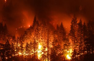 Έκθεση Meteo: Αυξημένος κατά 42% ο αριθμός πυρκαγιών φέτος