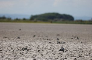 ΟΗΕ: Οι ξηρασίες κοστίζουν 300 δισ. ευρώ ετησίως – Ανάγκη για επείγουσες λύσεις