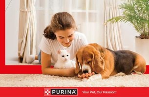 60.000 γεύματα για αδέσποτα ζώα από την Purina το 2024