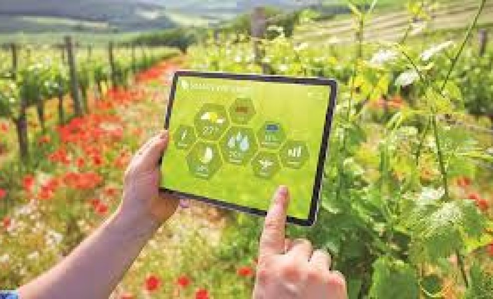 Η agtech CroBio εξασφαλίζει  1,45 εκατ. ευρώ για την ενίσχυση της ανθεκτικότητας στη γεωργική ξηρασία με μικρόβια του εδάφους