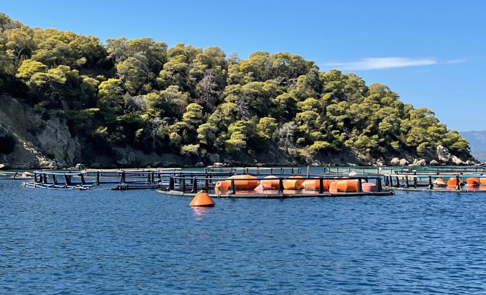 Υδατοκαλλιέργειες: Η Ελλάδα στην τελευταία θέση στην Ευρώπη σε περιβαλλοντικές ρυθμίσεις