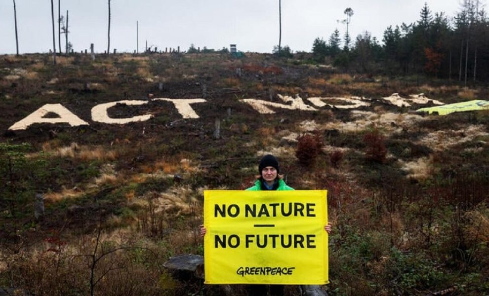 Greenpeace: Απογοητευτικά τα αποτελέσματα της COP29 στο Μπακού	