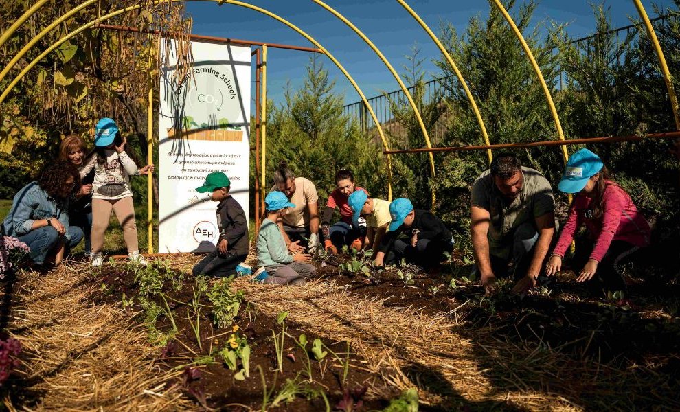 Carbon Farming Schools: Βιωματική εκπαίδευση στη βιώσιμη γεωργία και διατροφή με την υποστήριξη της ΔΕΗ