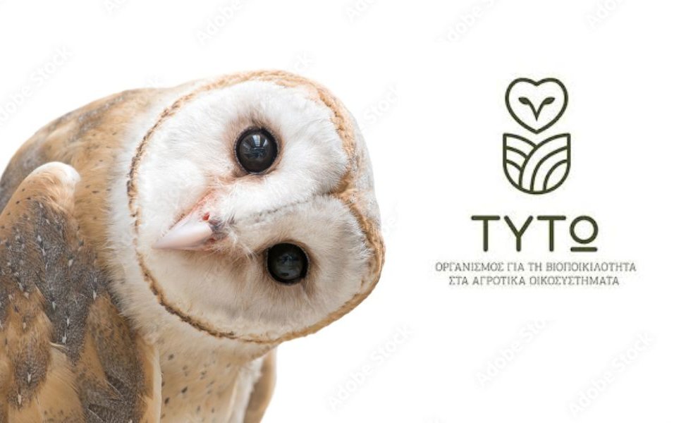 Σε Αθήνα και Λάρισα το «International Barn Owl Conference 2025» από την ΤΥΤΩ