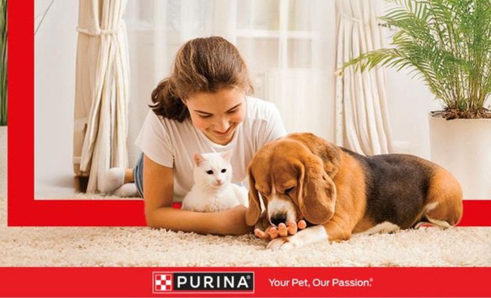 60.000 γεύματα για αδέσποτα ζώα από την Purina το 2024